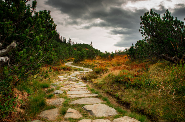 Обои картинки фото природа, дороги, простор