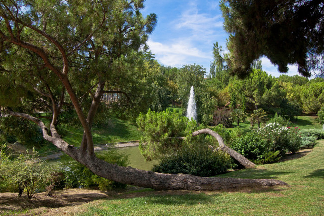 Обои картинки фото природа, парк, простор