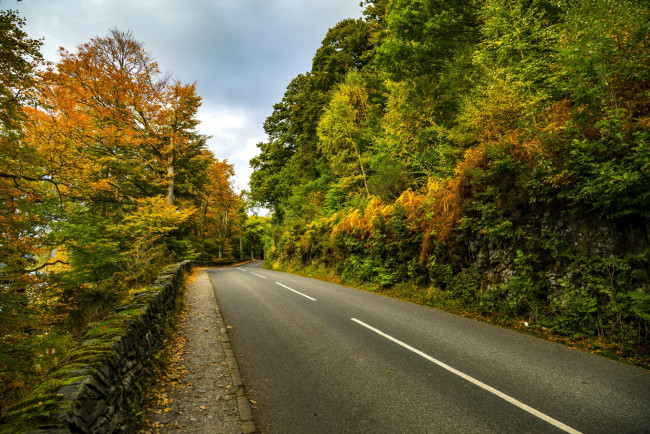 Обои картинки фото природа, дороги, шоссе, осень