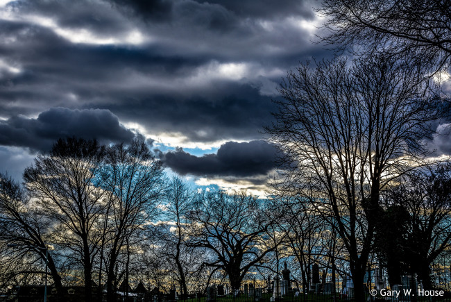 Обои картинки фото животные, медведи, медведь, вода, брызги