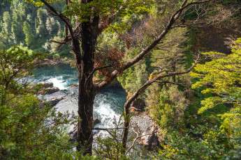 Картинка природа реки озера простор