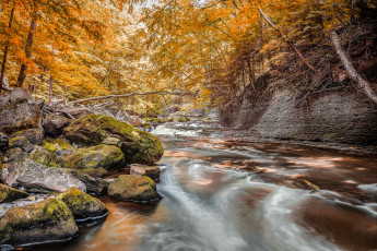 Картинка природа реки озера простор