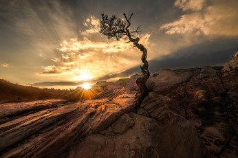 Картинка природа восходы закаты простор