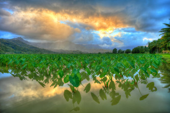 Картинка природа реки озера простор