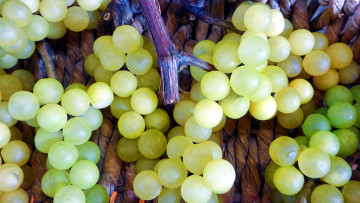 Картинка еда виноград ягоды