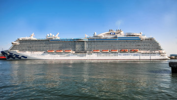 Картинка royal+princess корабли лайнеры круиз лайнер