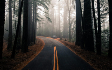 Картинка природа дороги шоссе