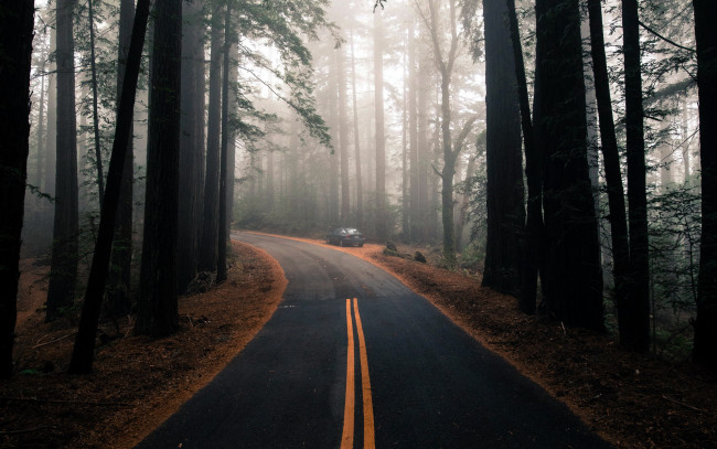 Обои картинки фото природа, дороги, шоссе