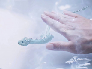 Картинка кино+фильмы immortal+samsara вечная самсара щепки агарового дерева