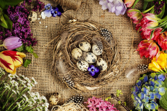 Картинка праздничные пасха яйца