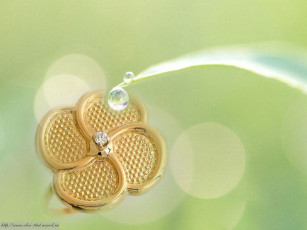 Картинка разное украшения аксессуары веера