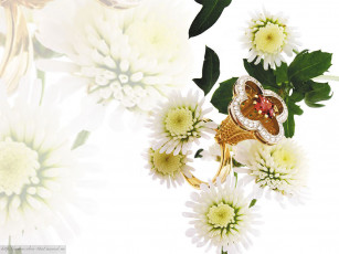 Картинка разное украшения аксессуары веера