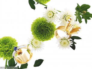 Картинка разное украшения аксессуары веера