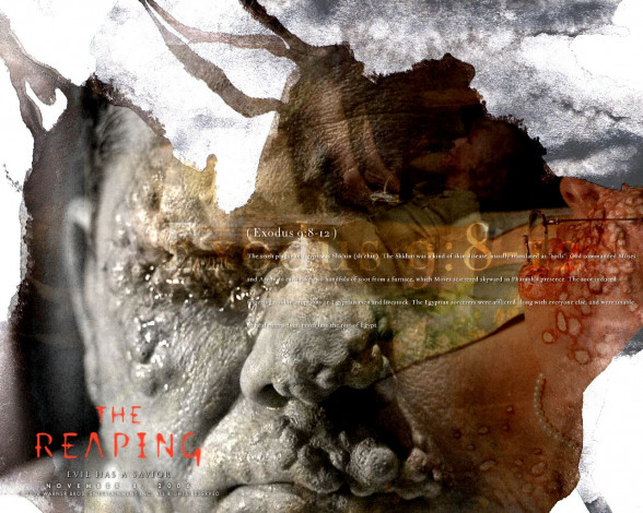 Обои картинки фото the, reaping, кино, фильмы