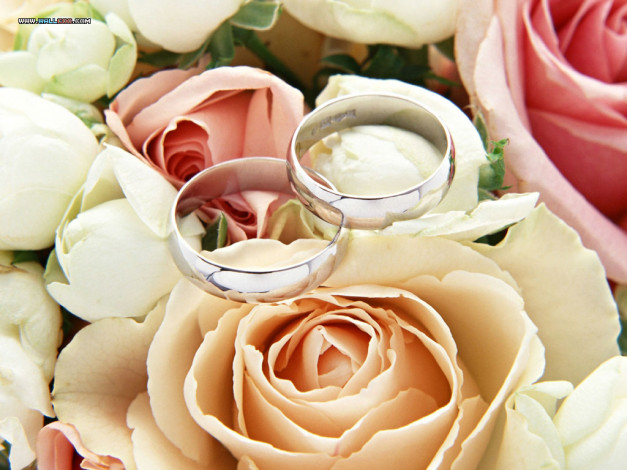 Обои картинки фото разное, украшения, аксессуары, веера