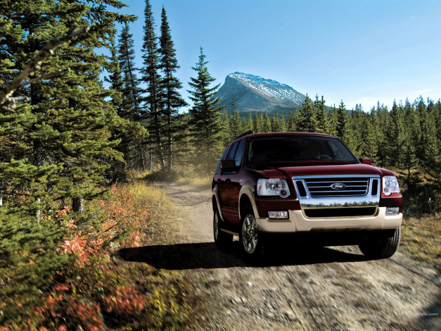 Обои картинки фото автомобили, ford