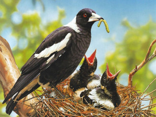 Картинка рисованные животные