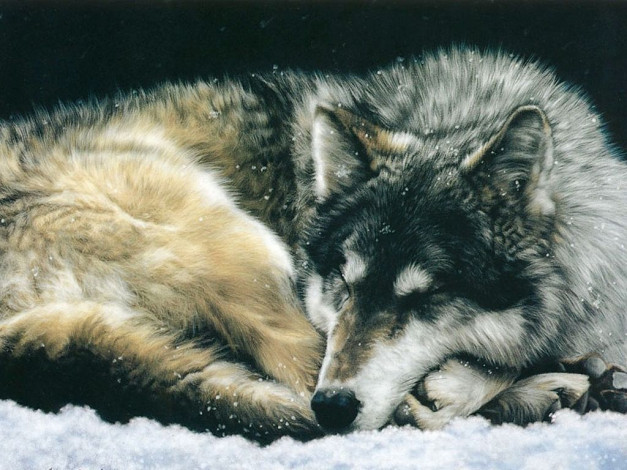 Обои картинки фото рисованные, животные