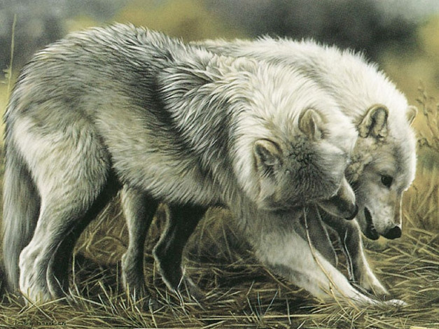 Обои картинки фото рисованные, животные