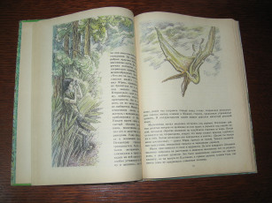 Картинка разное канцелярия книги книга