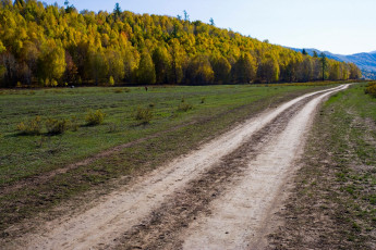 Картинка природа дороги лес поле дорога