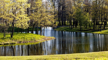 Картинка природа парк мостик деревья речка