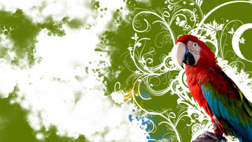 Картинка животные попугаи попугай