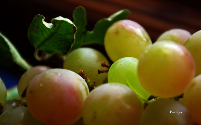 Обои картинки фото еда, виноград, ягоды