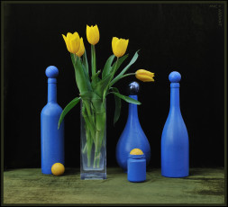 Картинка цветы тюльпаны