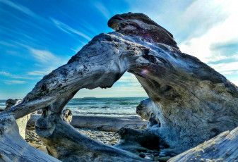 Картинка природа побережье пляж волны море свет коряги галька