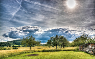 Картинка природа деревья лес поленница холмы трава поле облака