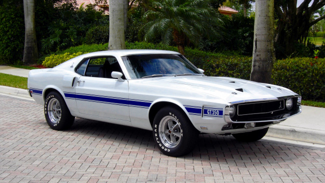 Обои картинки фото mustang, gt, автомобили, ford, motor, company, культовый, автомобиль, сша