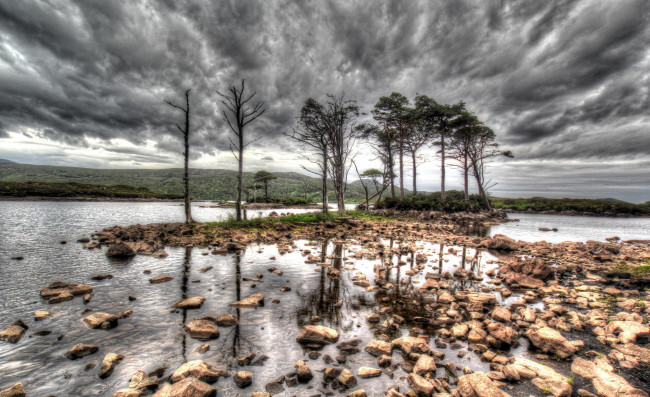 Обои картинки фото природа, реки, озера, поле, трава, деревья, тучи, река