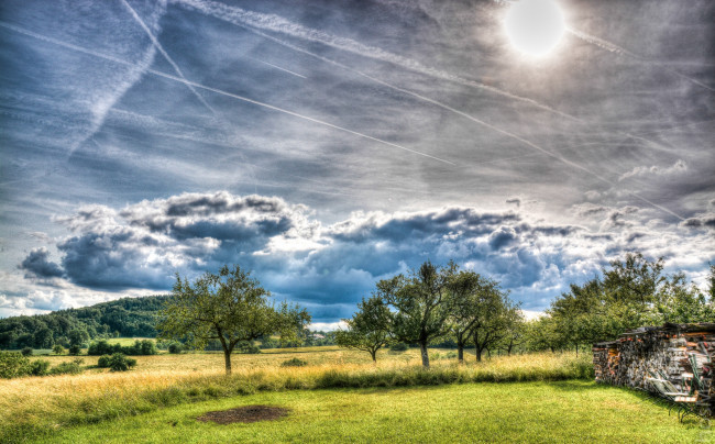 Обои картинки фото природа, деревья, лес, поленница, холмы, трава, поле, облака