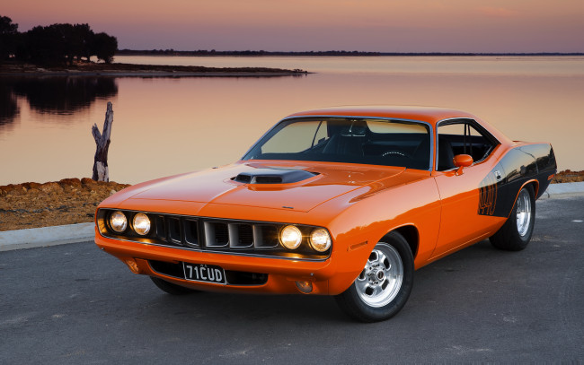 Обои картинки фото автомобили, plymouth, barracuda, плимут, cuda, muscle, car
