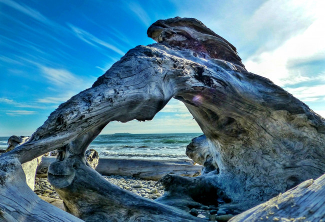 Обои картинки фото природа, побережье, пляж, волны, море, свет, коряги, галька