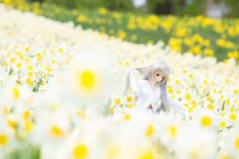 Картинка разное игрушки кукла нарциссы цветы