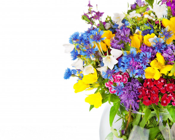 Обои картинки фото цветы, луговые , полевые,  цветы, гвоздики, альстромерии, васильки, колокольчики