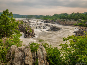 Картинка природа реки озера река лес