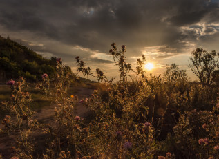 Картинка природа восходы закаты рассвет