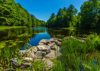 Картинка природа реки озера река лес