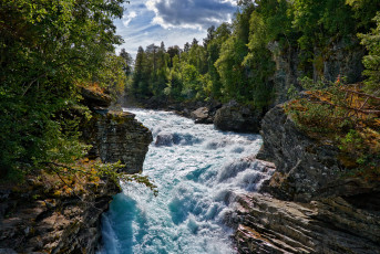 Картинка природа реки озера река лес