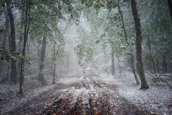 Картинка природа дороги тракт