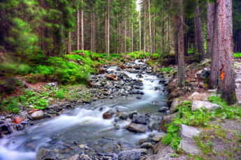 Картинка природа реки озера река лес