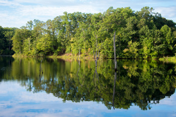 Картинка природа реки озера река лес