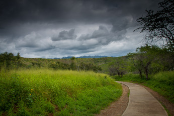 Картинка природа дороги тракт