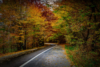 Картинка природа дороги тракт