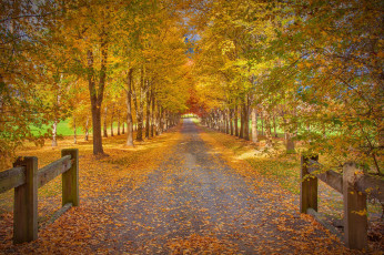 Картинка природа дороги тракт