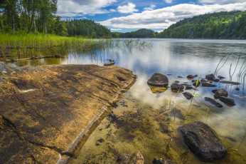 Картинка природа реки озера лес река