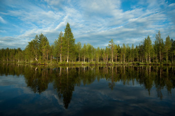 Картинка природа реки озера лес река